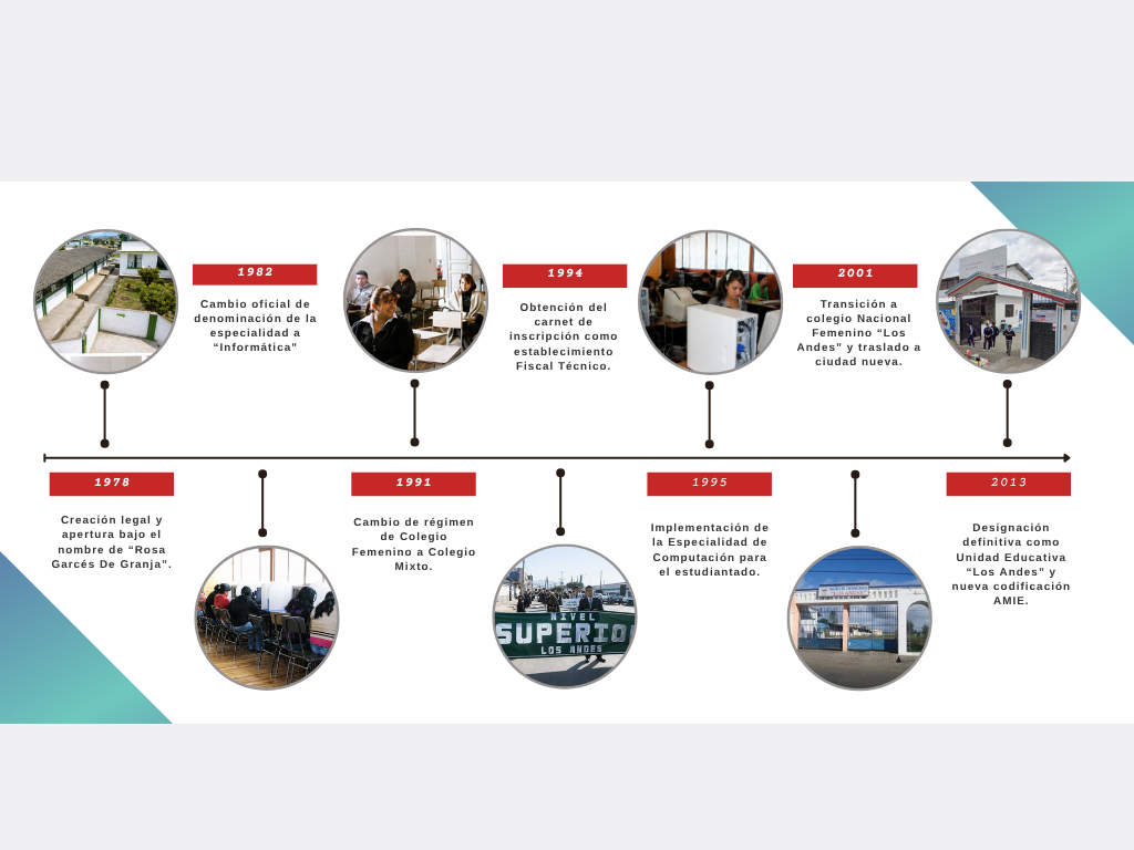 brown educational history of art timeline graph